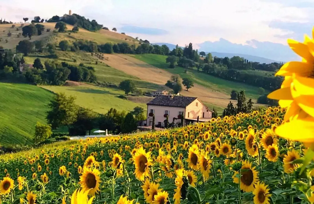 Casale delle Rondini-1
